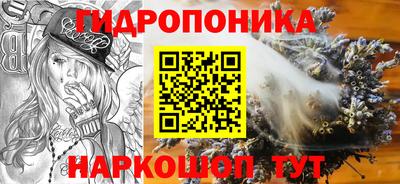 дживик Надым